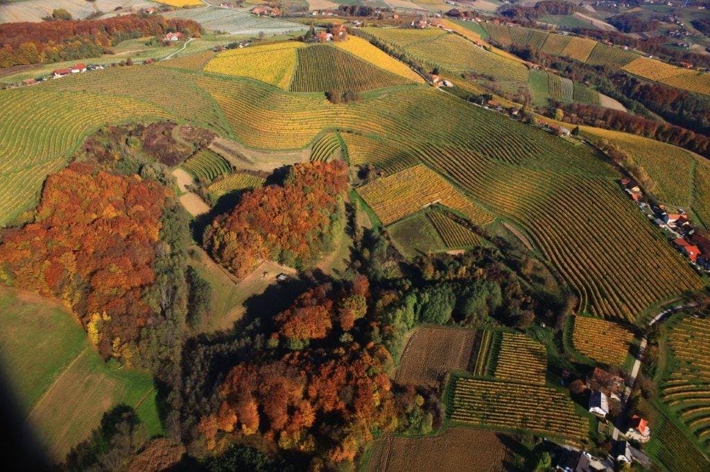 Aerial view of autumn vineyards in Prlekija