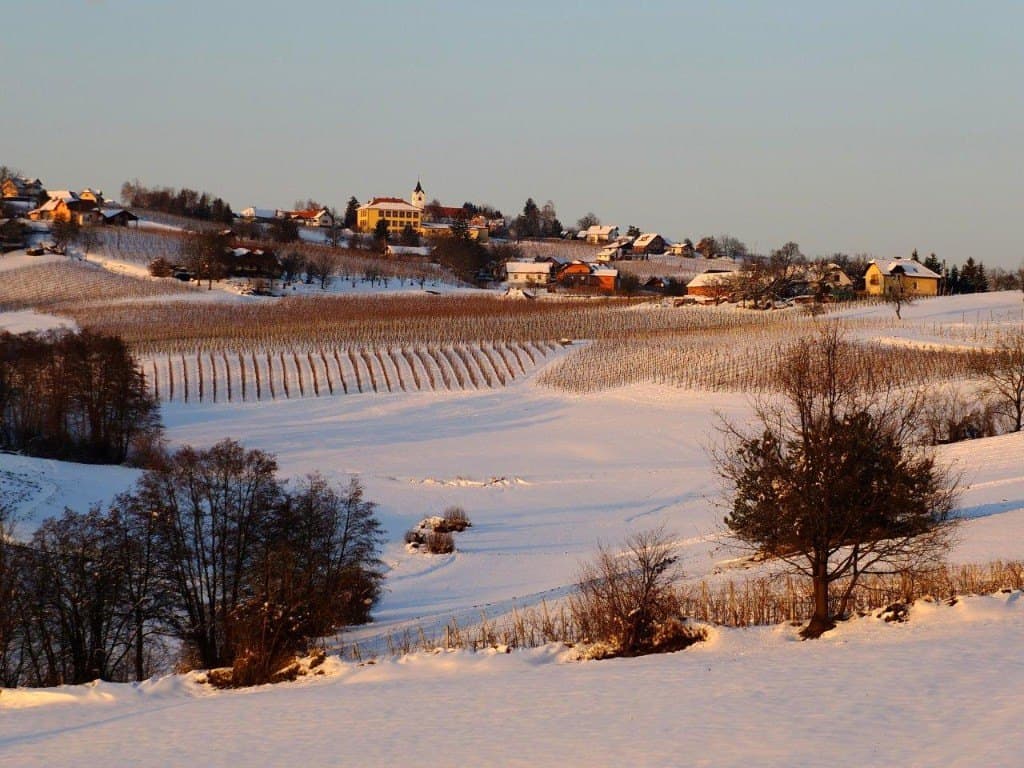 Snow-covered vineyards and village in Prlekija