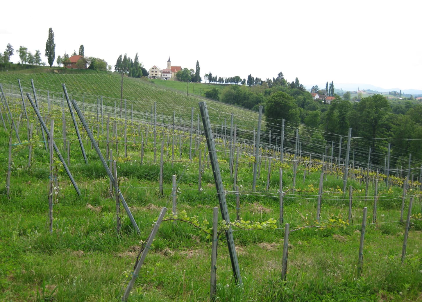 Prlekija hills