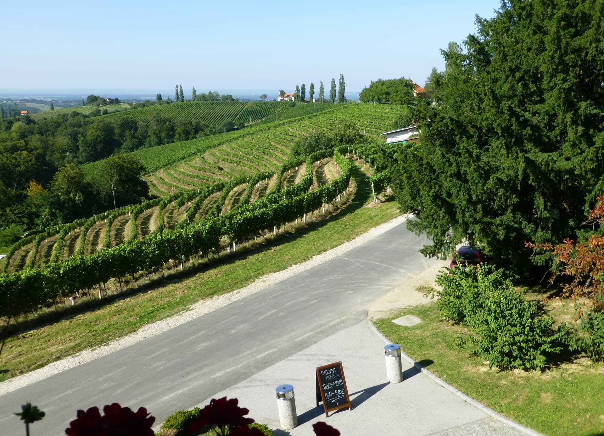 Hills and vines in Prlekija